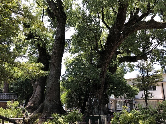 春日神社（福岡県春日市春日）_f0364707_16034394.jpg