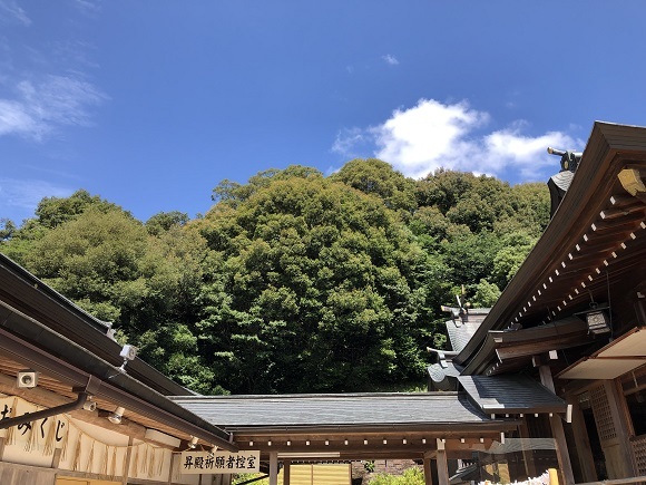 春日神社（福岡県春日市春日）_f0364707_16143059.jpg