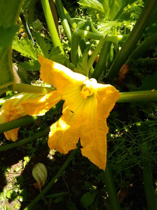 c0149408_10253105.jpg