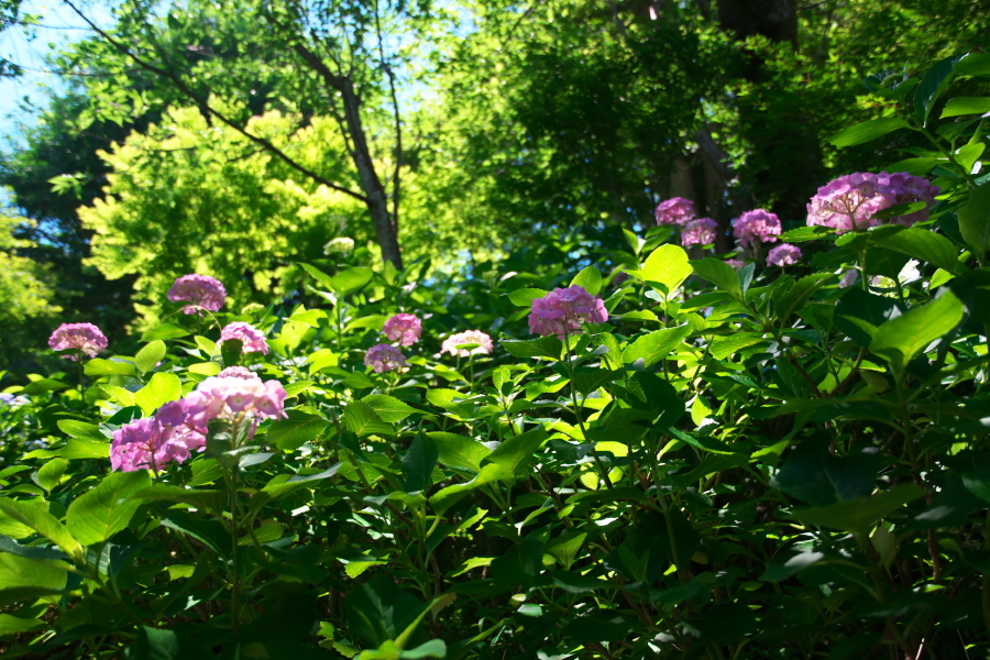 a0263109_10581227.jpg