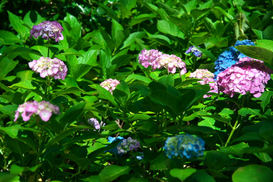 a0263109_11004465.jpg