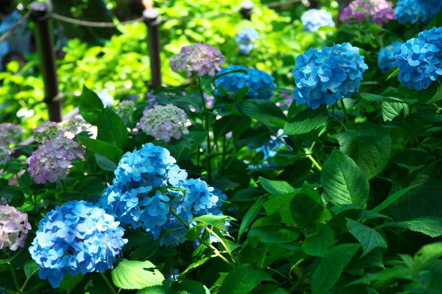 a0263109_11004482.jpg