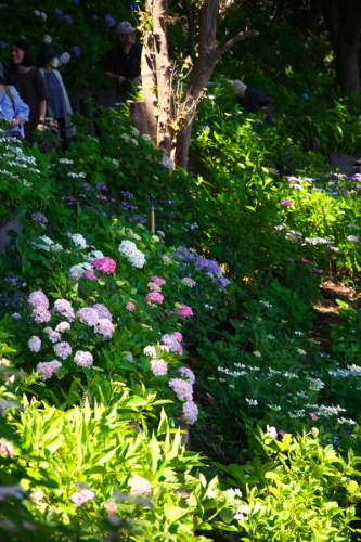 a0263109_11011813.jpg