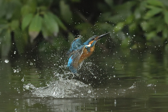 T公園にて_d0382609_19254007.jpg