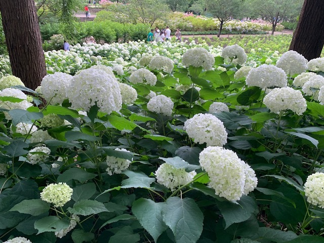 e0340012_19115730.jpg