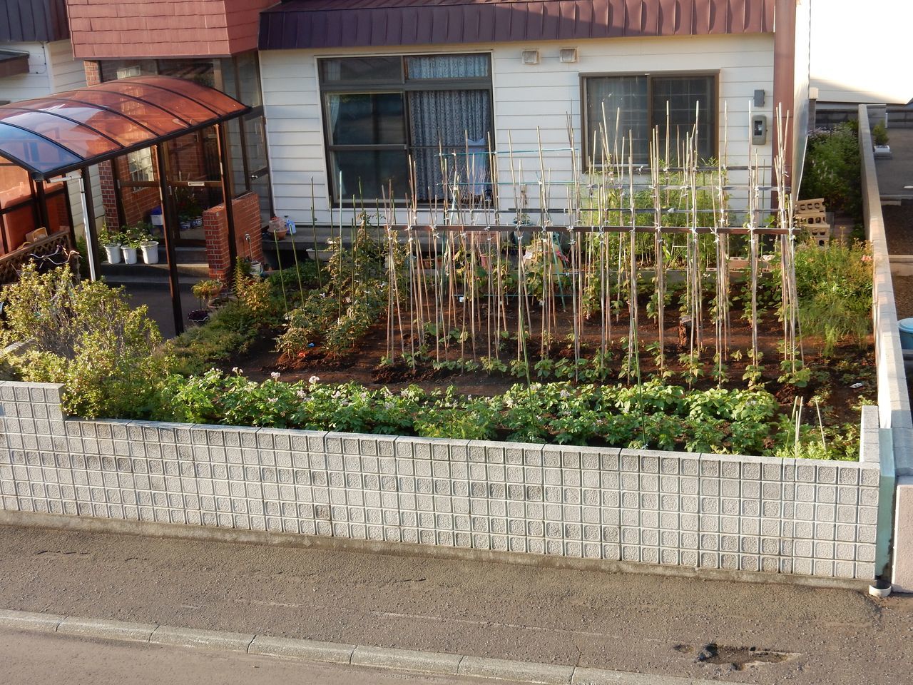 午後から晴れる_c0025115_22014023.jpg