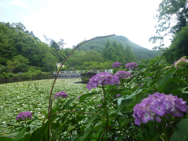 d0170615_20123226.jpg
