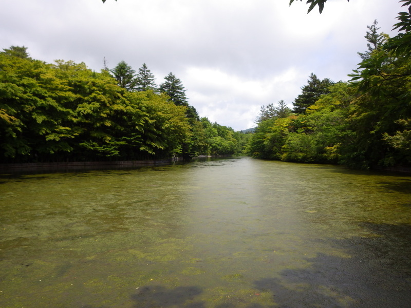 d0035921_12341832.jpg