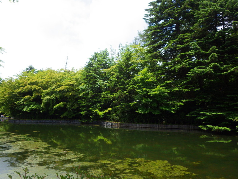 d0035921_12343756.jpg