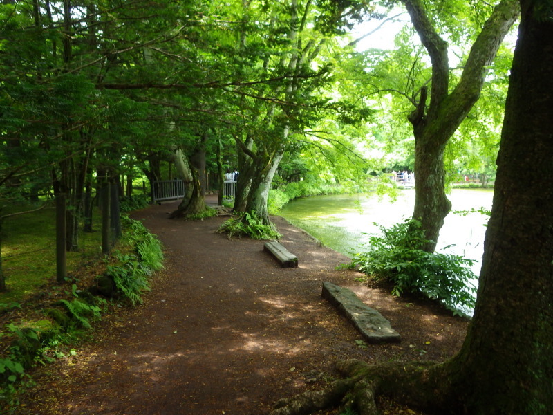 d0035921_12350334.jpg