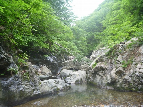 令和元年 東北遠征_d0227723_00422993.jpg