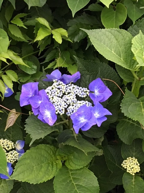 e0190625_18435242.jpg