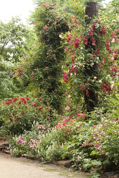 b0368629_17221108.jpg