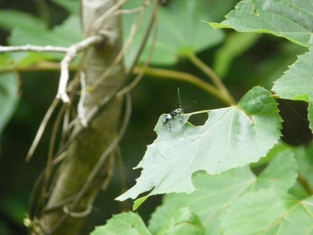 f0177529_20095152.jpg
