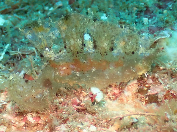 d0164831_18270419.jpg