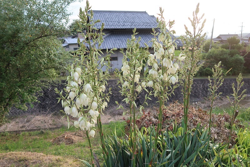 安全意識とコンチネンタルタイヤ_f0076731_21043897.jpg