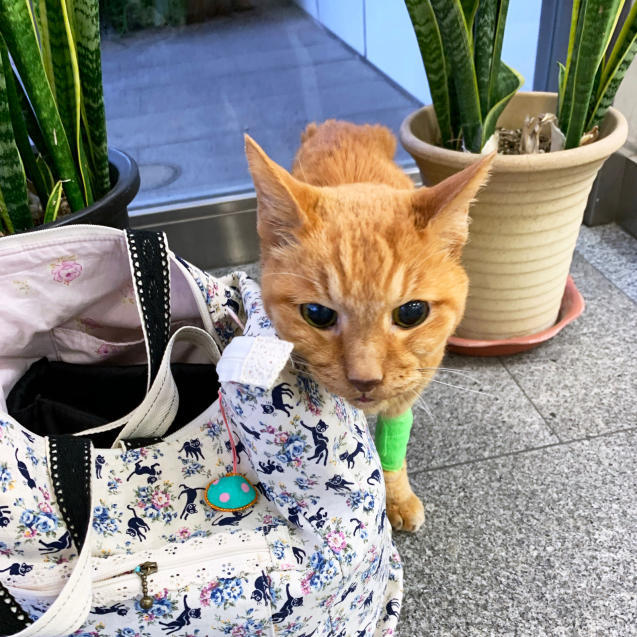 わおわおわお!!_d0355333_21212027.jpg