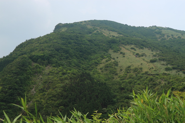 阿蘇野草園でハナシノブ観賞＆俵山山行！_e0272335_935327.jpg