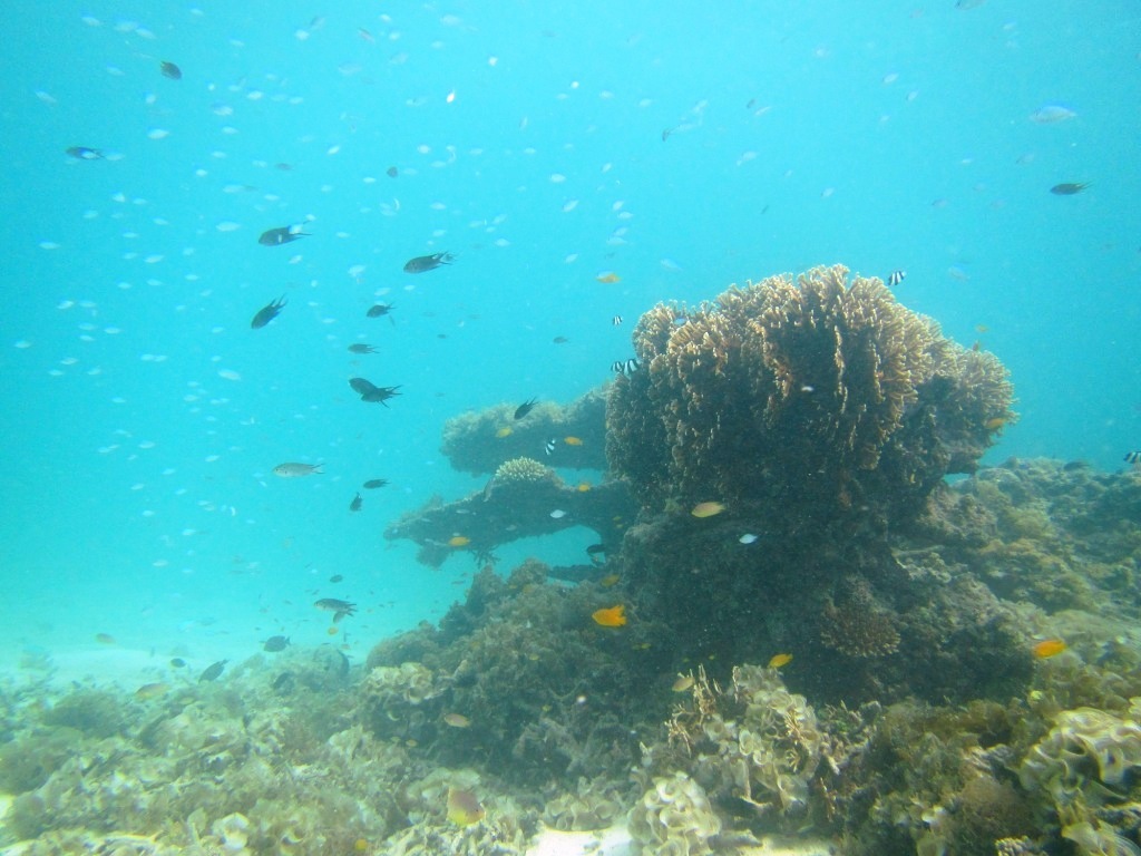 a0189838_17133166.jpg