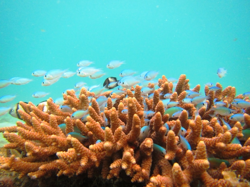 a0189838_17143590.jpg