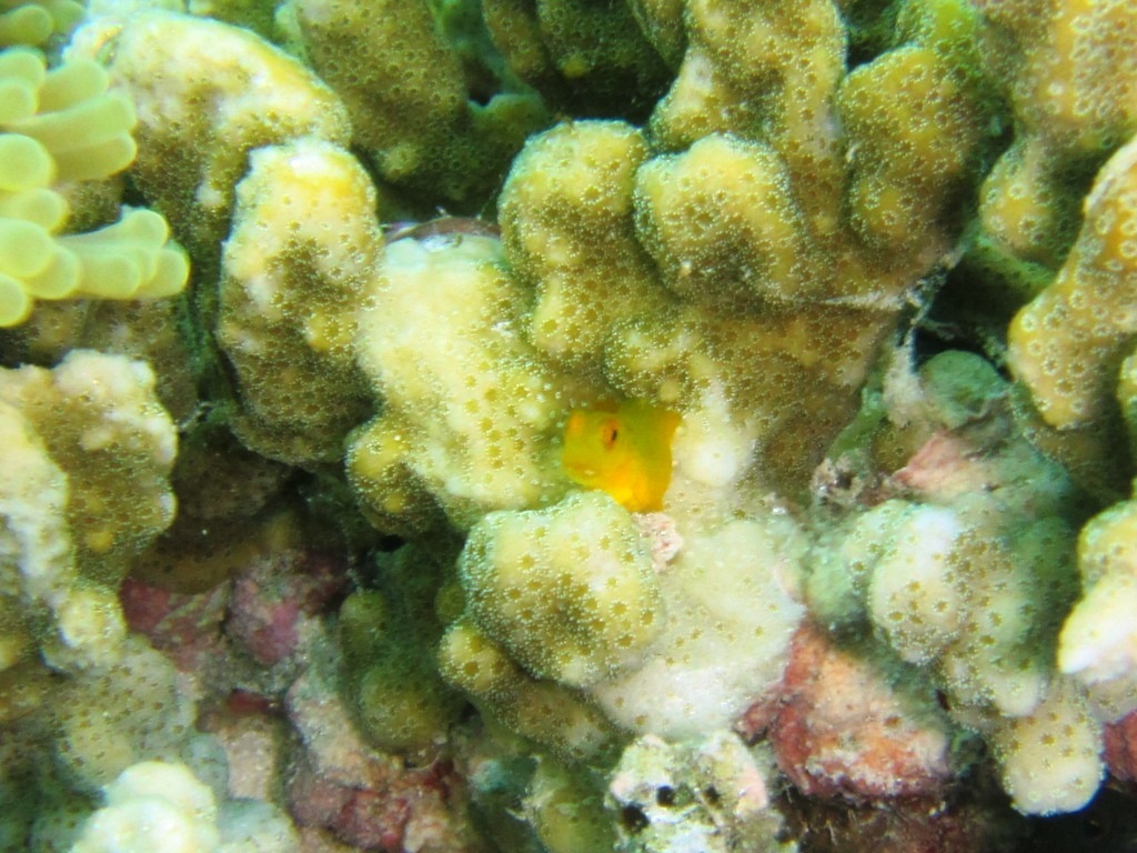 a0189838_17174871.jpg