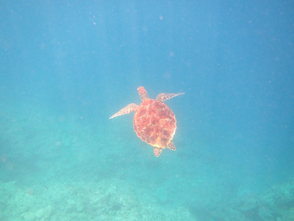 a0189838_17234411.jpg