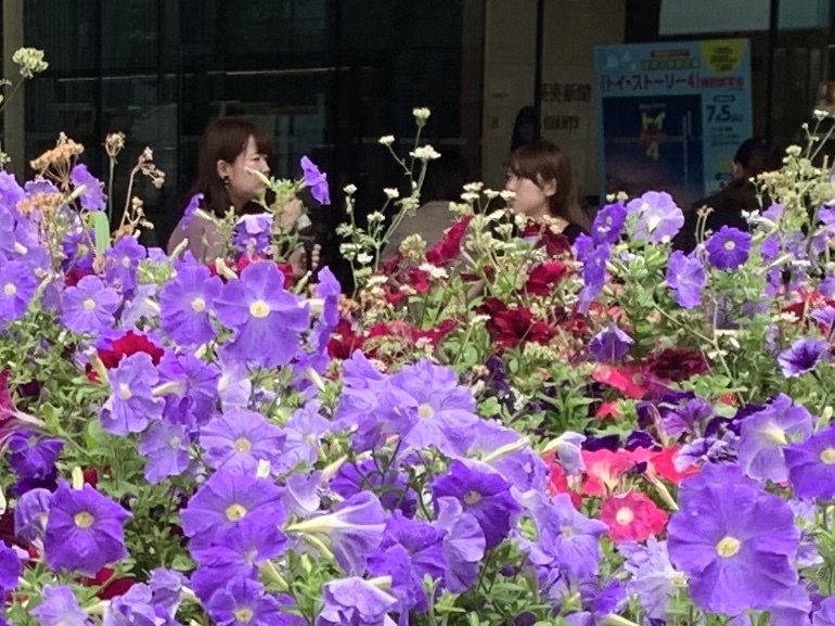 b0330040_19302505.jpeg
