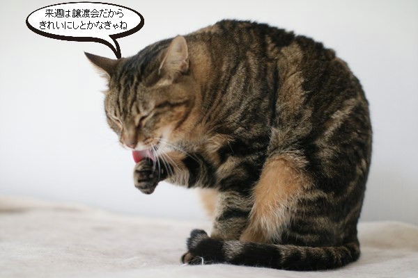 きれい好きです_e0151545_20095446.jpg