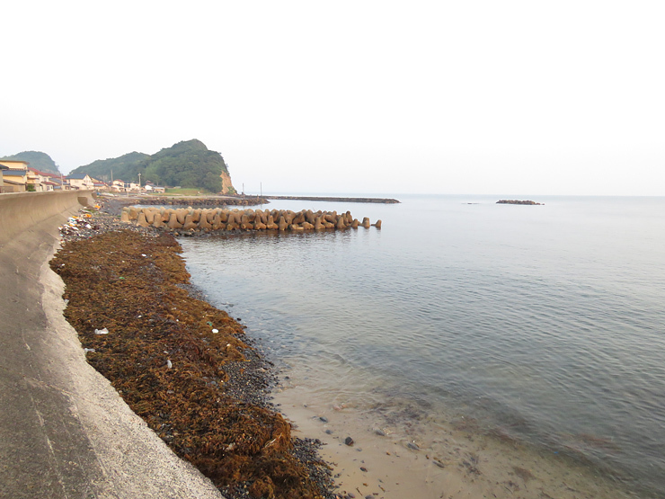 f0214649_04081102.jpg