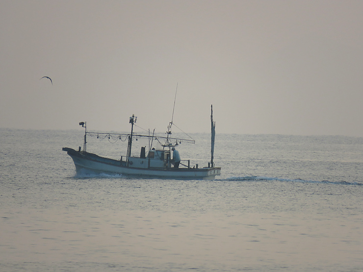 f0214649_04094964.jpg