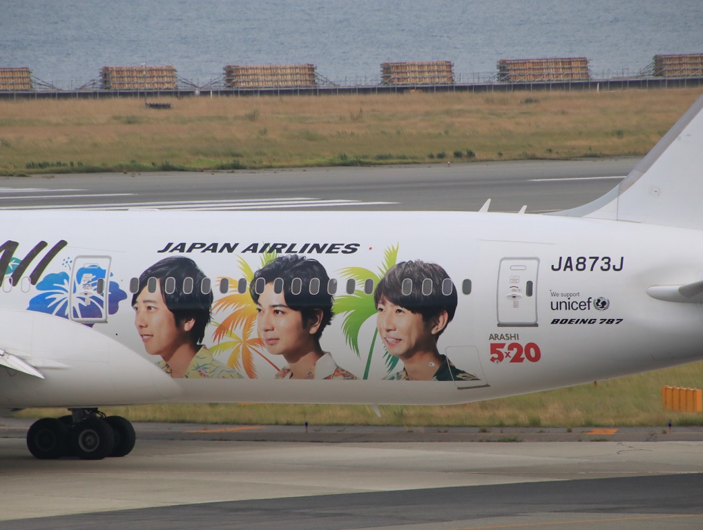 JAL 2019年　嵐ジェット_d0202264_82533.jpg