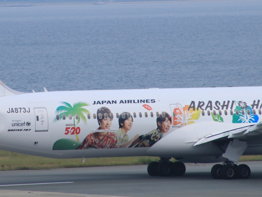 JAL 2019年　嵐ジェット_d0202264_844652.jpg