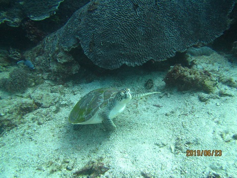 d0363174_22275278.jpg