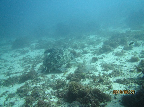 d0363174_22283703.jpg