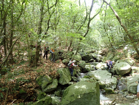 d0182075_20051048.jpg