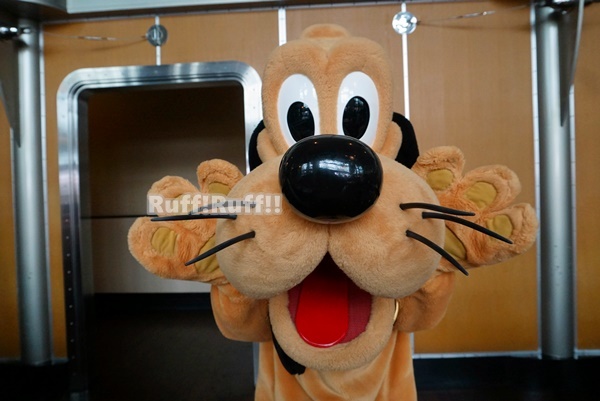 イン日記 手作りバッグにサインをもらったホライズンベイ ruff ruff Pluto Love イン日記 手作りバッグにサインをもらったホライズンベイ ruff ruff Pluto Love