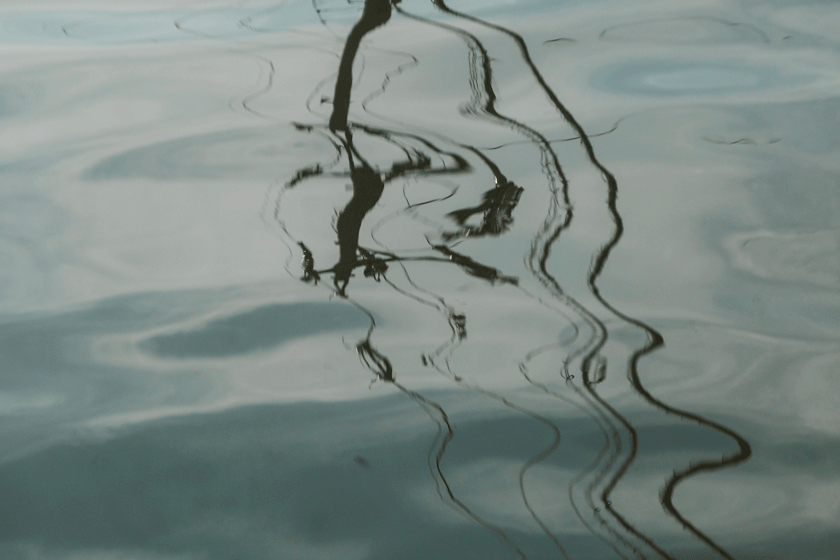 e0243382_06580590.gif