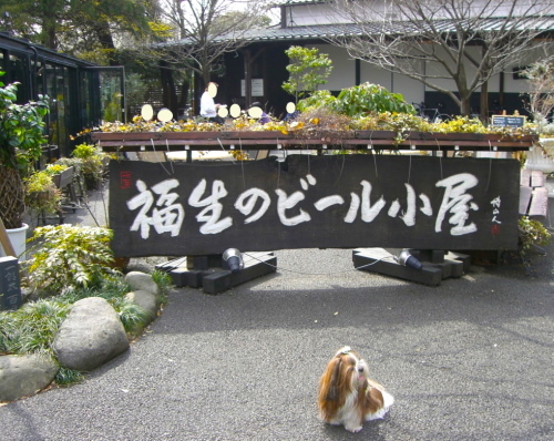 a0198883_16274218.jpg