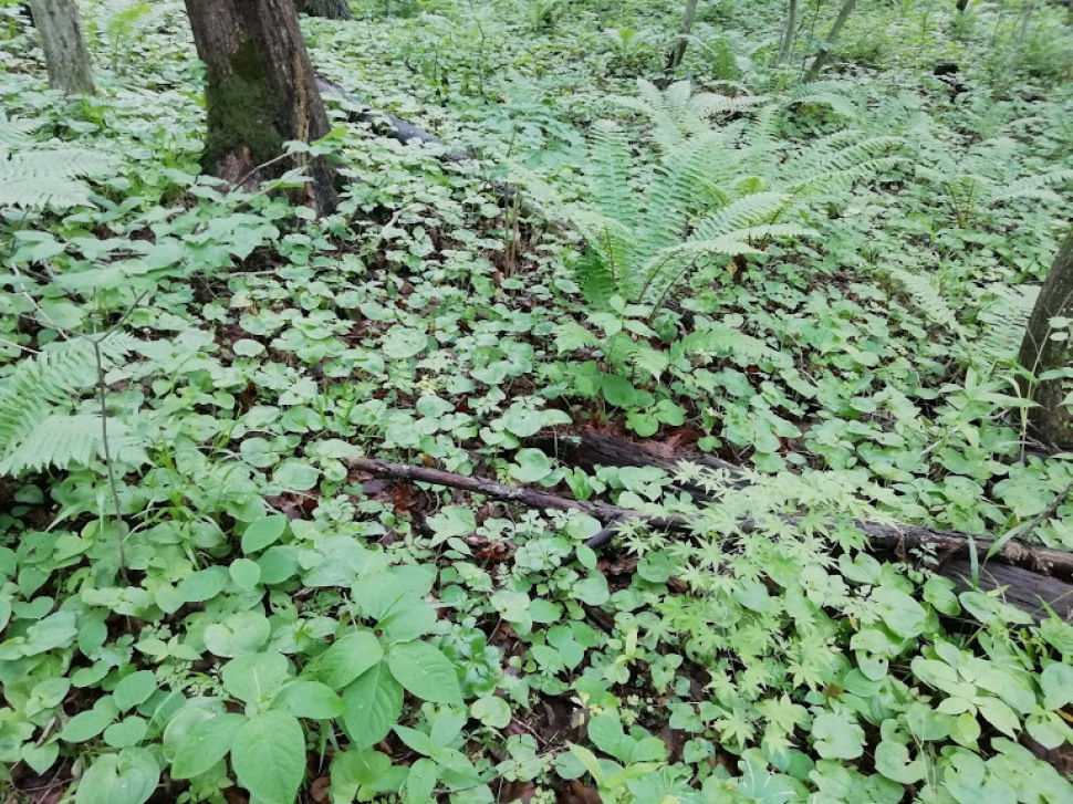 c0212083_20334400.jpg