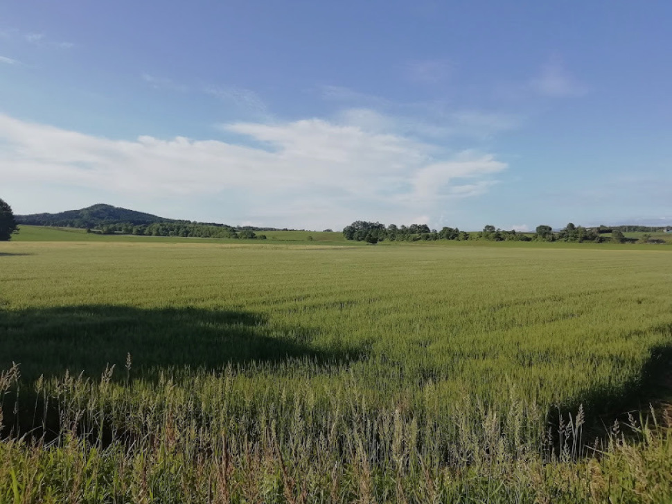 c0212083_20381456.jpg
