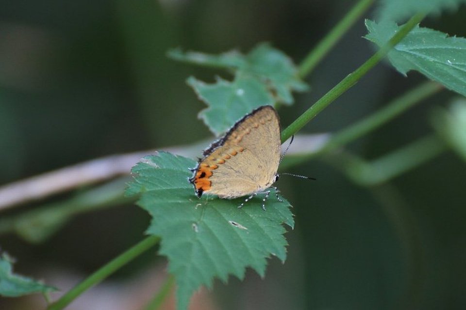 f0373486_06313530.jpg