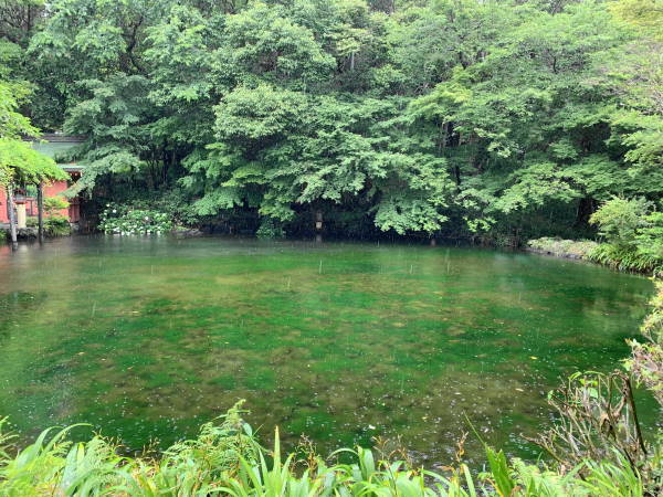 c0122791_09281455.jpg