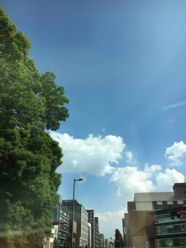 f0347891_17080548.jpeg