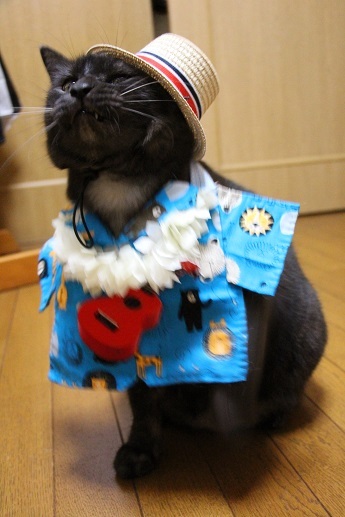 ウオwwww~~~~~!_a0333195_22401155.jpg