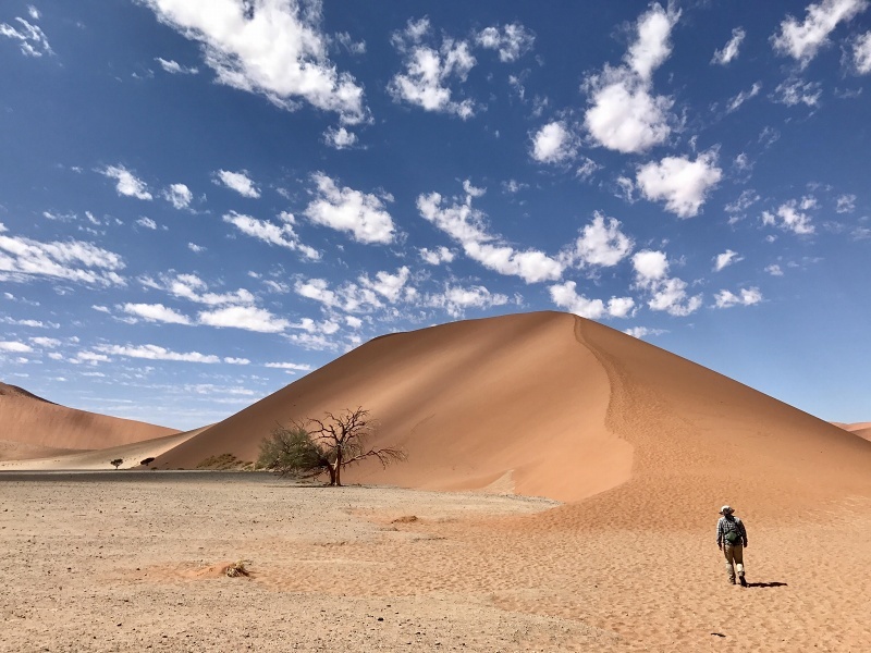 ナミビア旅行記(3) ナミブ砂漠へ_f0205097_13140285.jpg