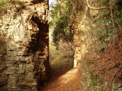f0308898_17012014.jpg