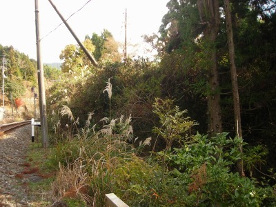 f0308898_17073463.jpg
