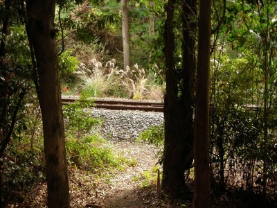 f0308898_17073478.jpg