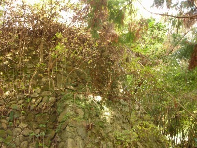 f0308898_17073486.jpg