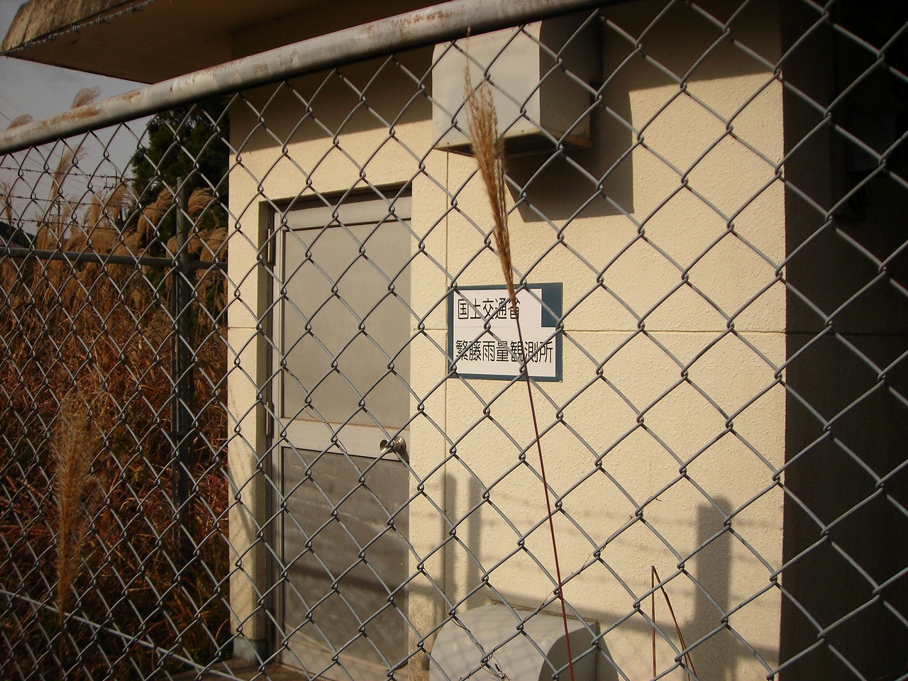 f0308898_17084757.jpg
